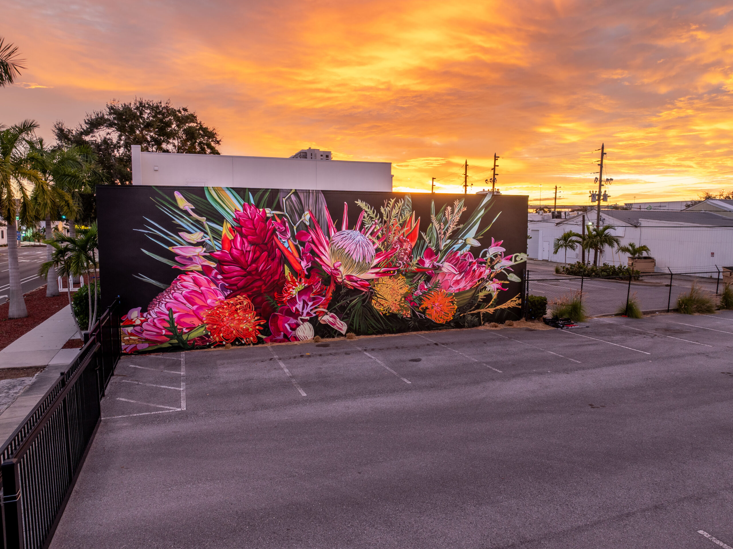 SHINE Mural Festival - St. Petersburg Arts Alliance